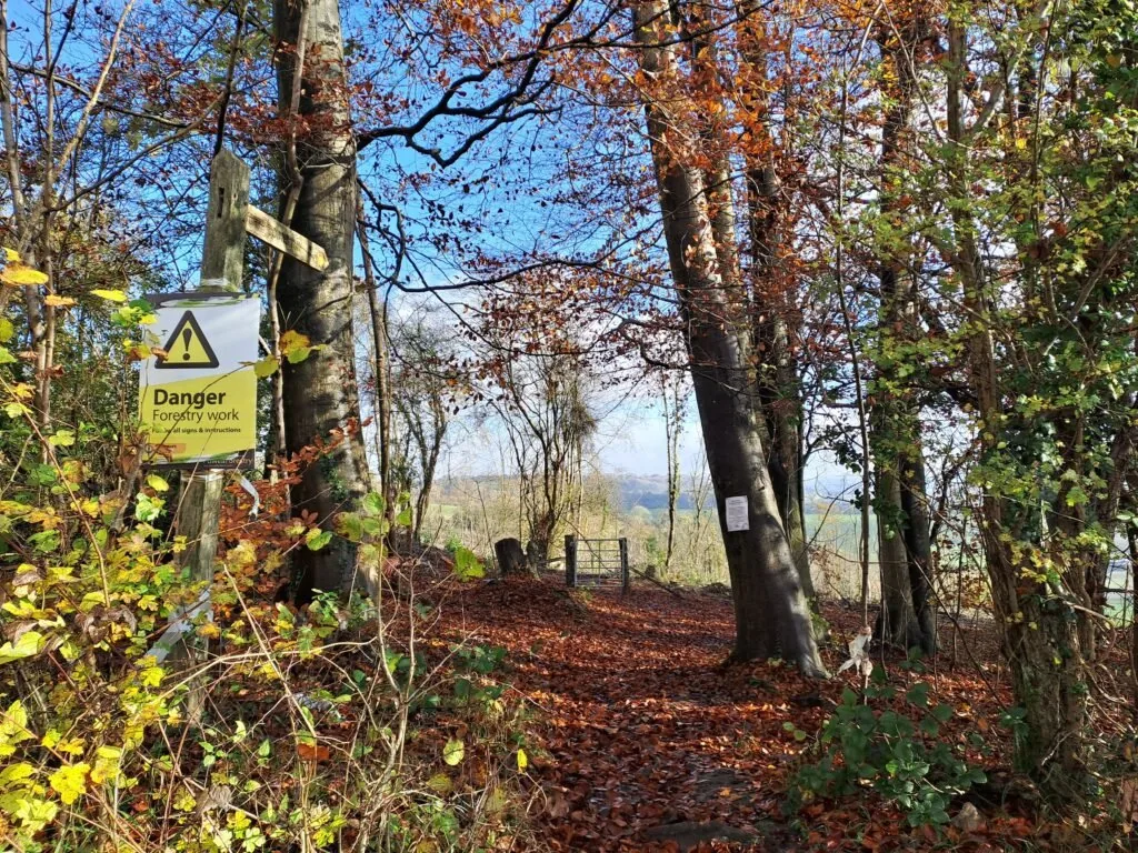 White Lane crossing on the North Downs Way between Oxted and Otford