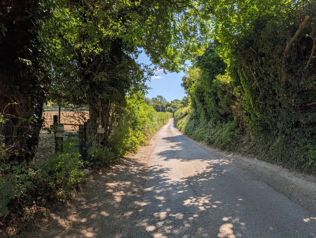 Whiteways Road on the North Downs Way