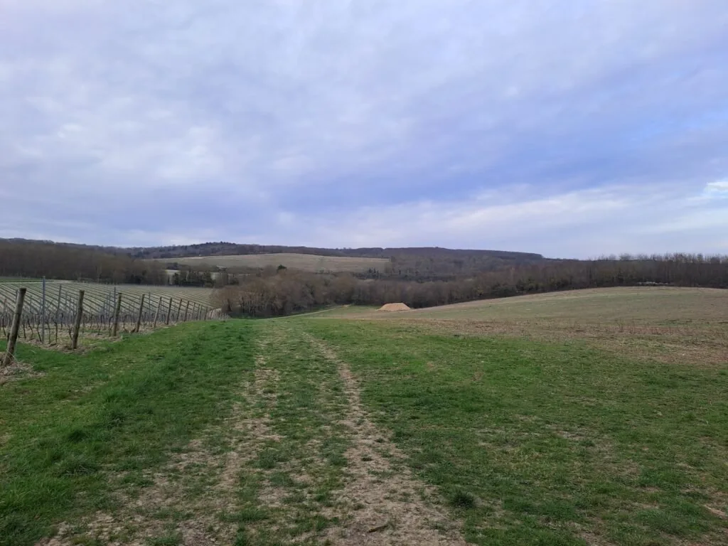 Wooded path near Cuxton on the North Downs Way
