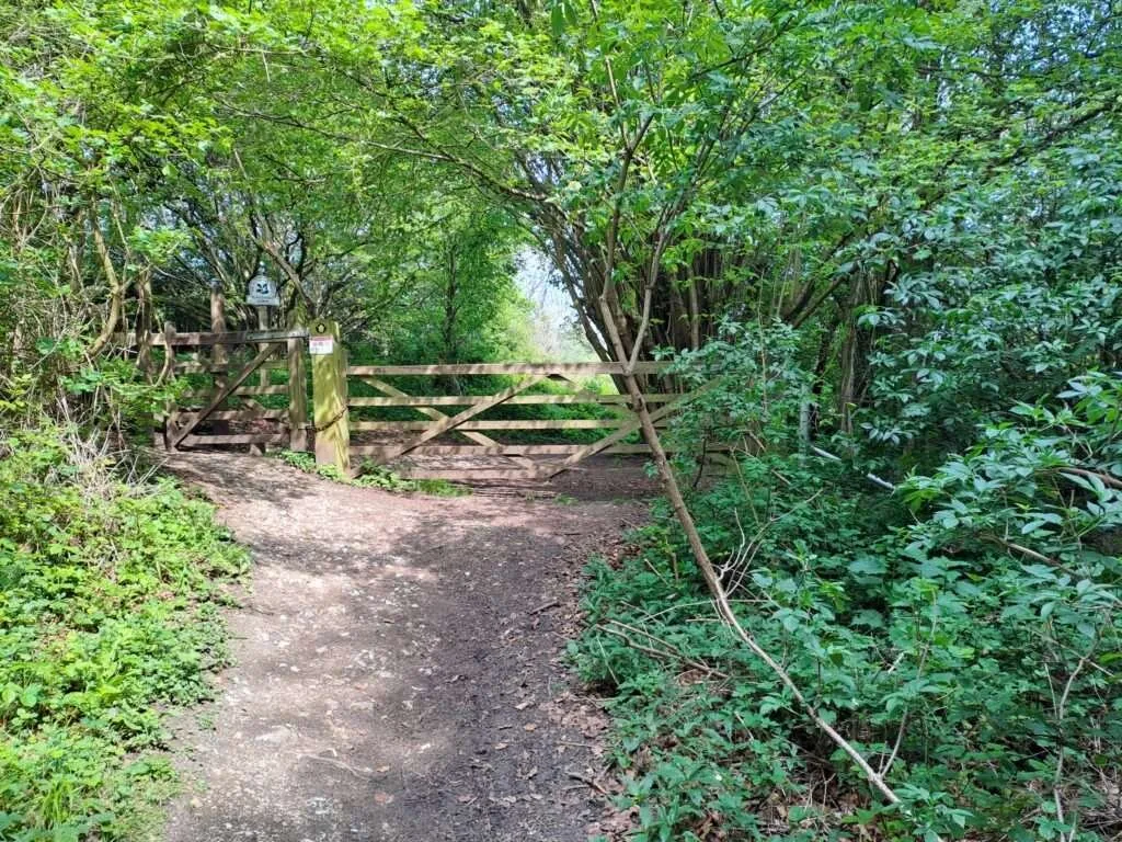 Wooden gate on the North Downs Way between Gomshall and Dorking