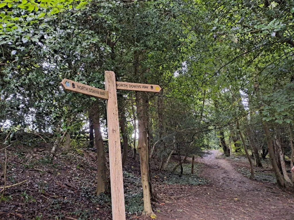 Woodland path on the Dorking to Merstham section of the North Downs Way