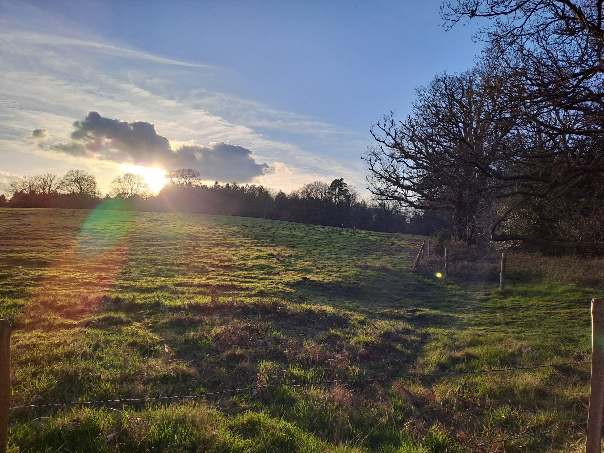 picture of the north downs way
