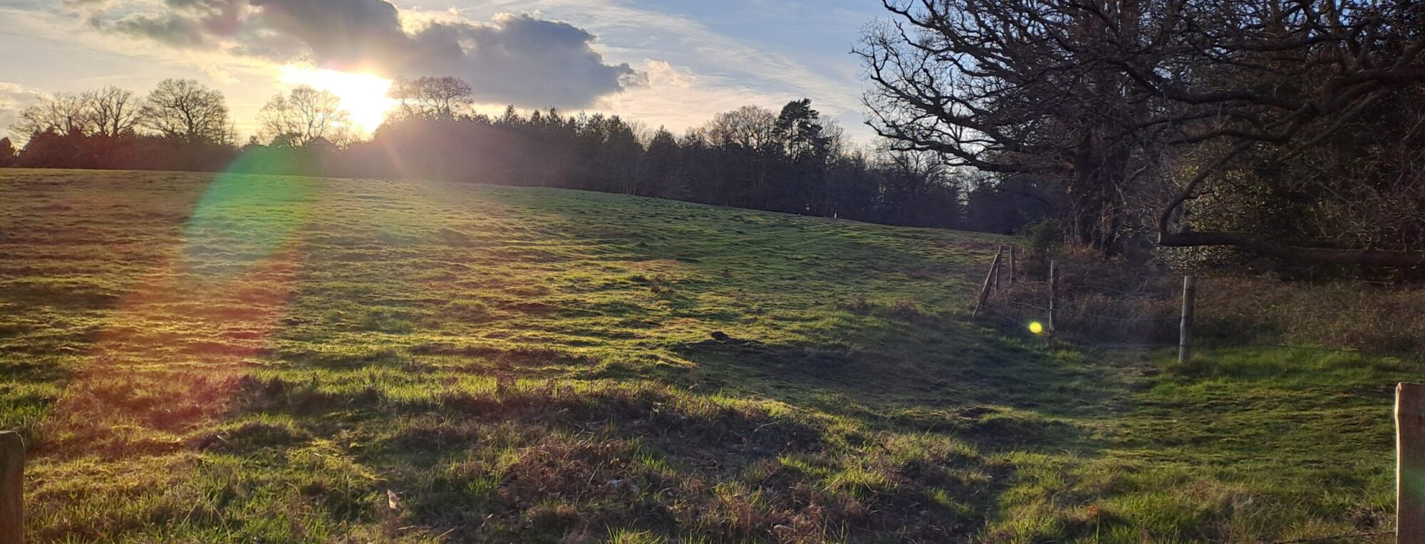 The North Downs Way