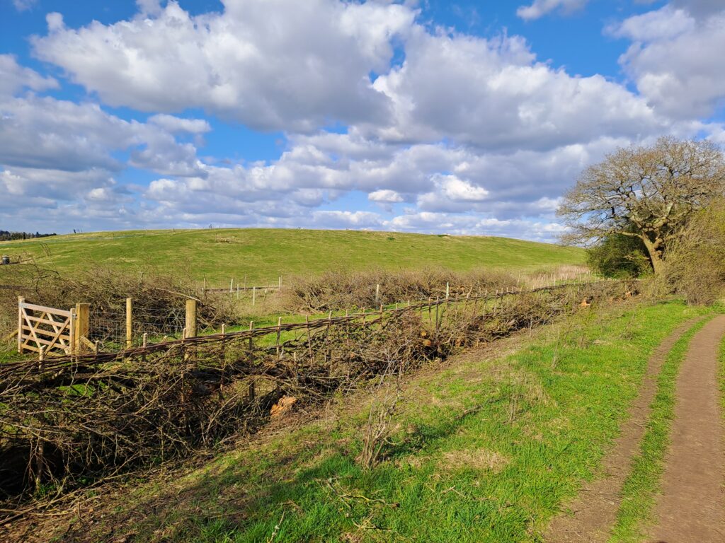 Picture of a field besides the North Downs Way National Trail