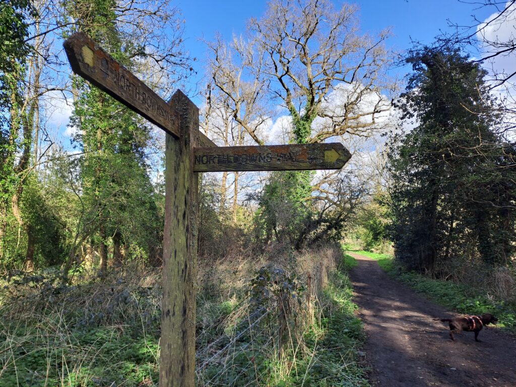 Picture of a North Downs Way signpost