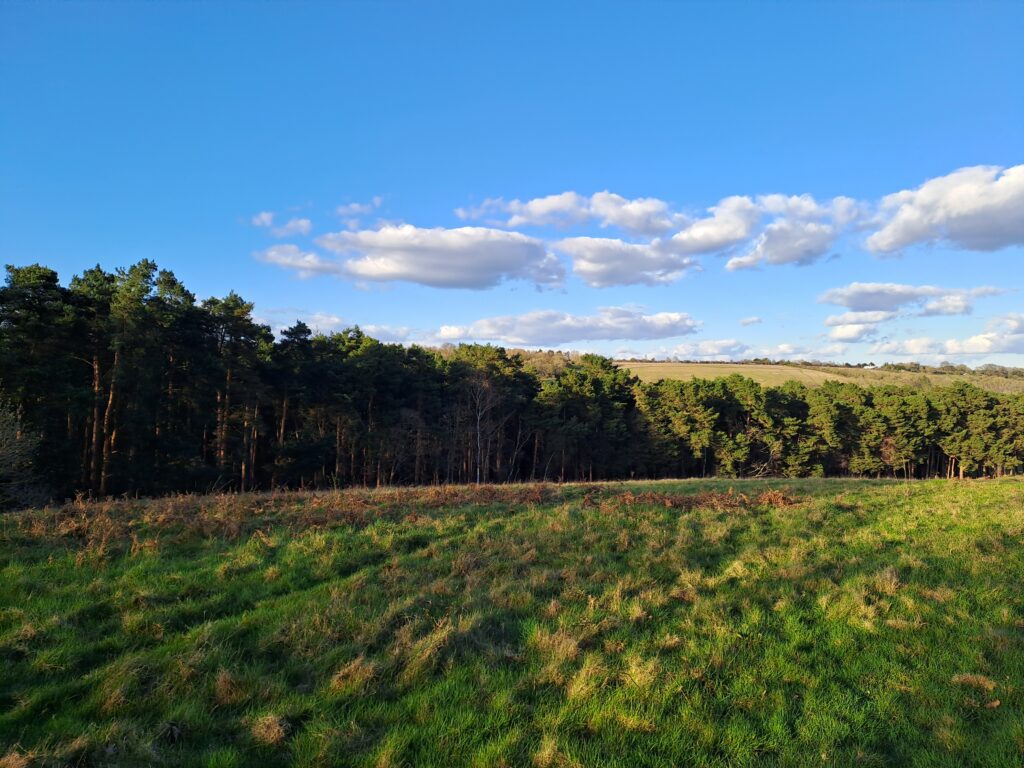 the north downs way walking from Farnham to Guildford view of the Hog's Back