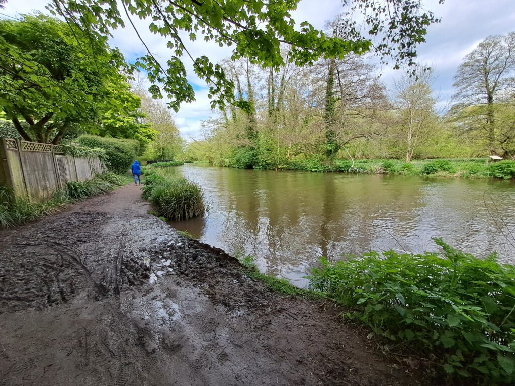 the north downs way walking from Farnham to Guildford mud next to the River Wey