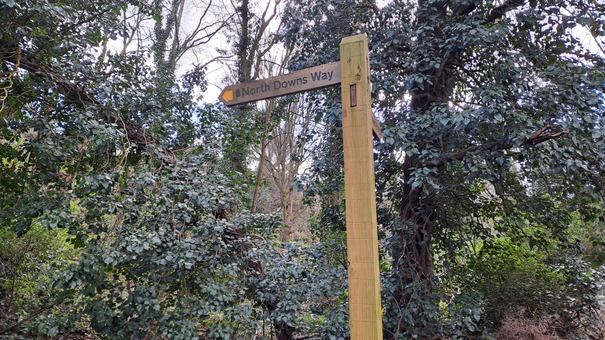 the north downs way walking from Farnham to Guildford wooden signpost