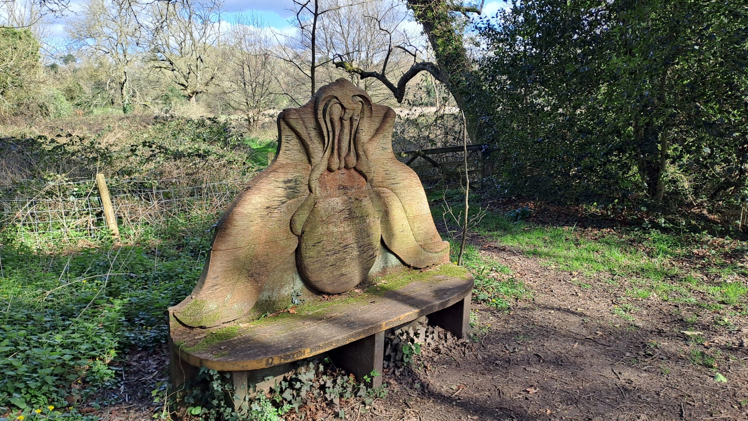 the north downs way walking from Farnham to Guildford wooden bench