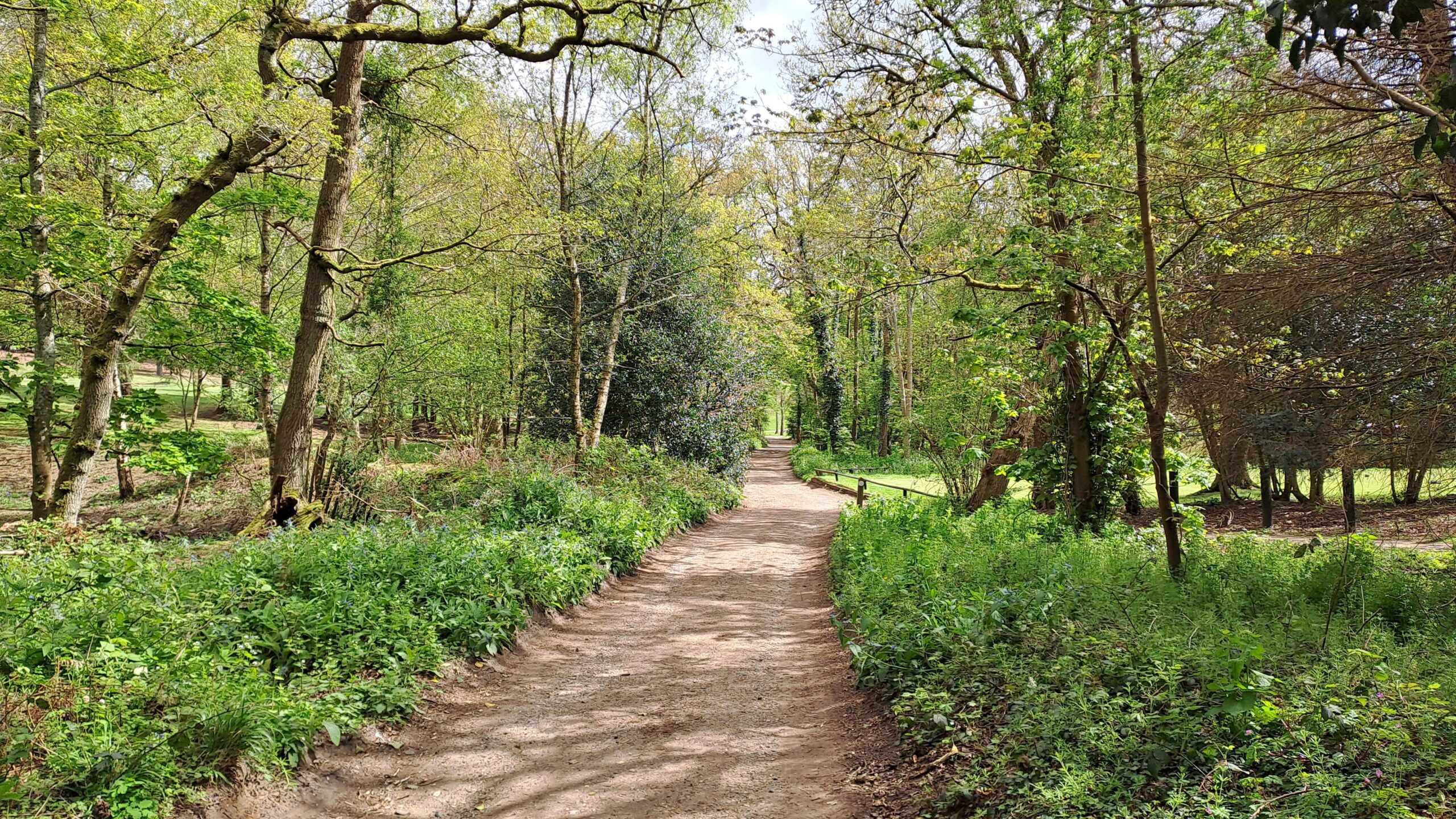 the north downs way walking from Farnham to Guildford trees next to Puttenham Golf Club