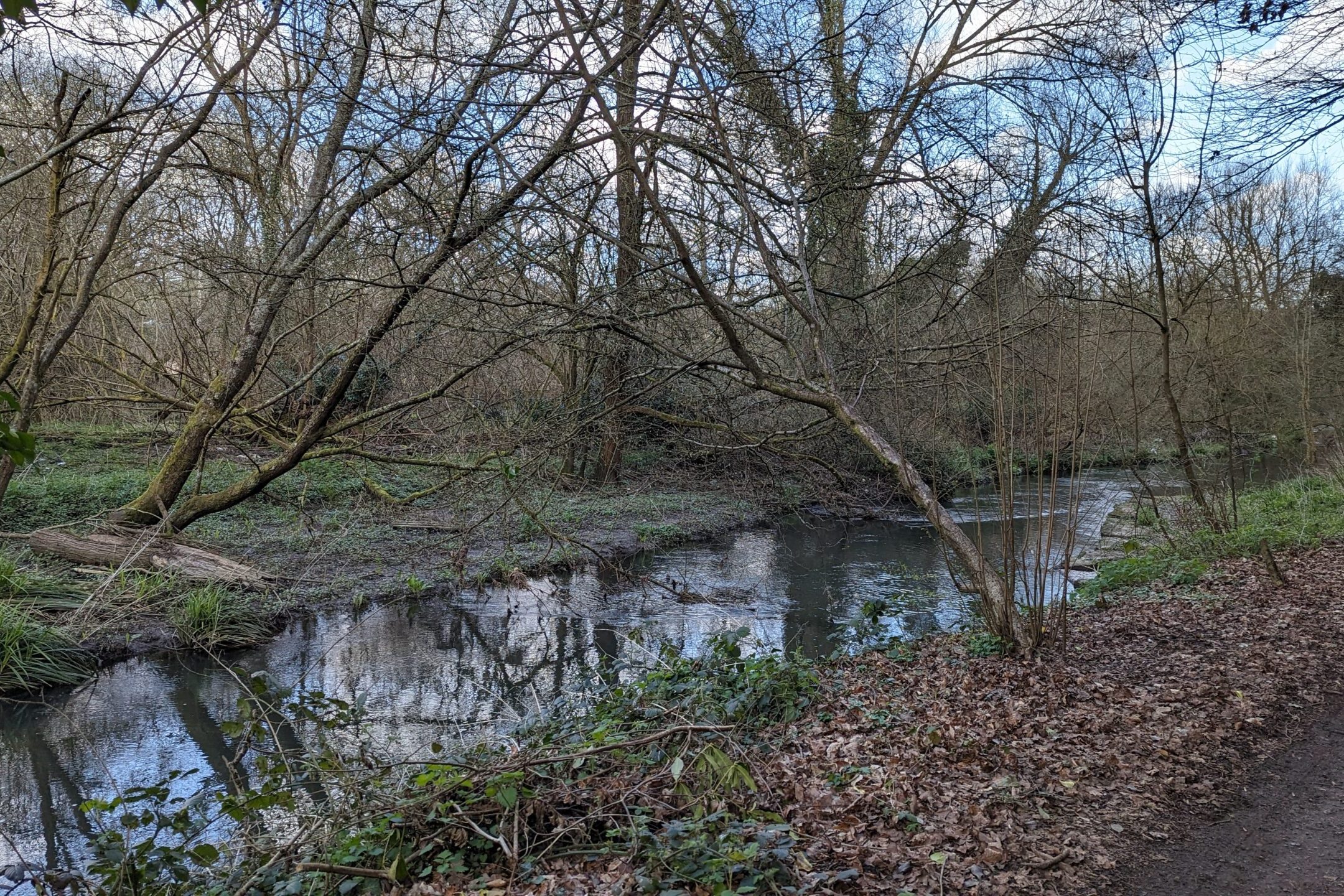 view of the river Wey on the North Downs Way National Trail